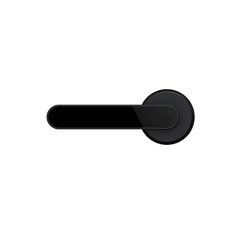 Sciener LX1 Smart Lever Lock - Image 2